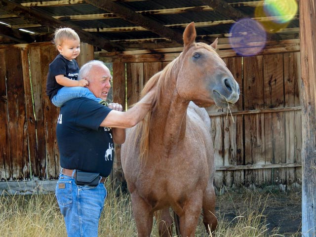 Horse - Swan valley accommodations