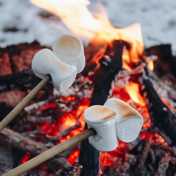 Marshmallow Campfire - Snowmobiling - Swan valley idaho winter activities