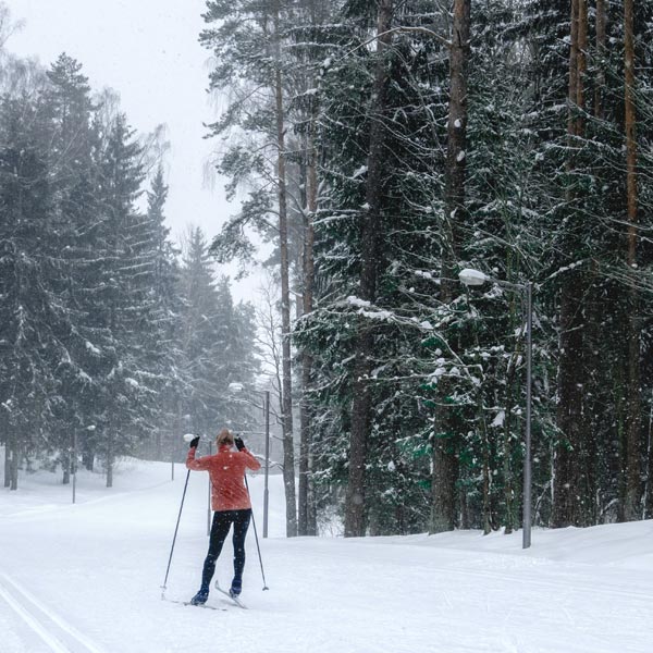 Nordic Skiing - Snowmobiling - Swan valley idaho winter activities