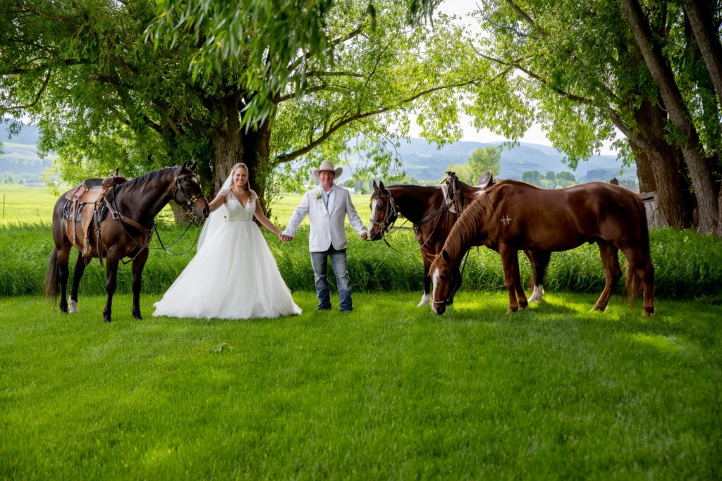 Bride & Groom with Horses